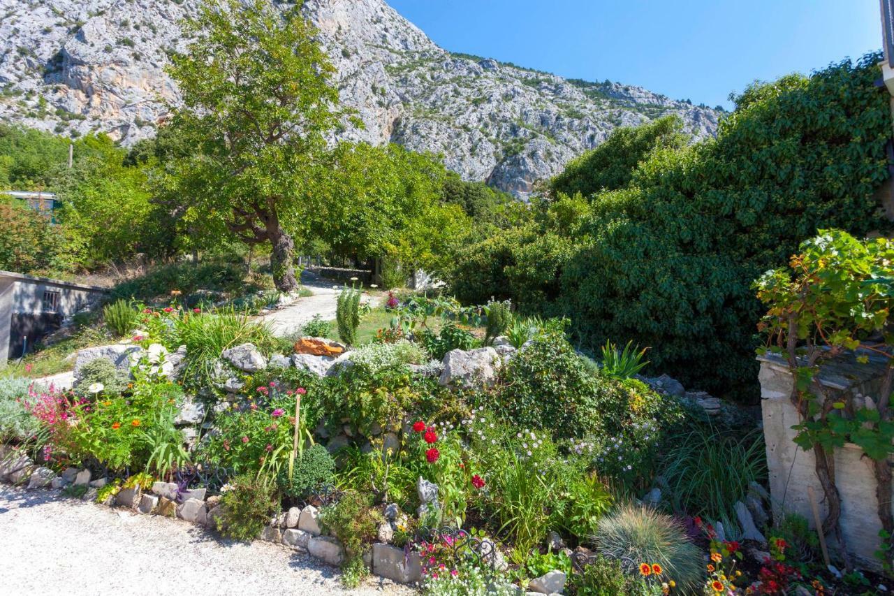 Holiday Home Lavanda Grubisic Tučepi Buitenkant foto